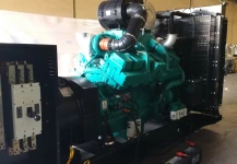 DIESEL ENGINE PUMP (data lama) Genset 750 kVA  <br>Berau Project 4 20171205_105711