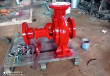 DIESEL ENGINE PUMP (data lama) Diesel Pump 4BD-ZL - Jakarta 2 img_20210202_115433