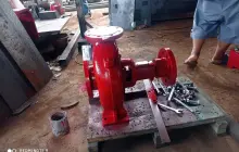 DIESEL ENGINE PUMP (data lama) Diesel Pump 4BD-ZL - Jakarta 4 img_20210202_115453