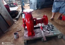 DIESEL ENGINE PUMP (data lama) Diesel Pump 4BD-ZL - Jakarta 4 img_20210202_115453