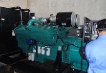 DIESEL ENGINE PUMP (data lama) Genset 1000 kVA <br>PT. Inti Everspring - Cilegon 2 p4271635